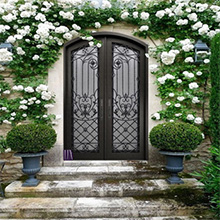 Main Entry Wrought Iron Solid Wood Door