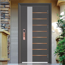 Stainless Steel Entrance Door